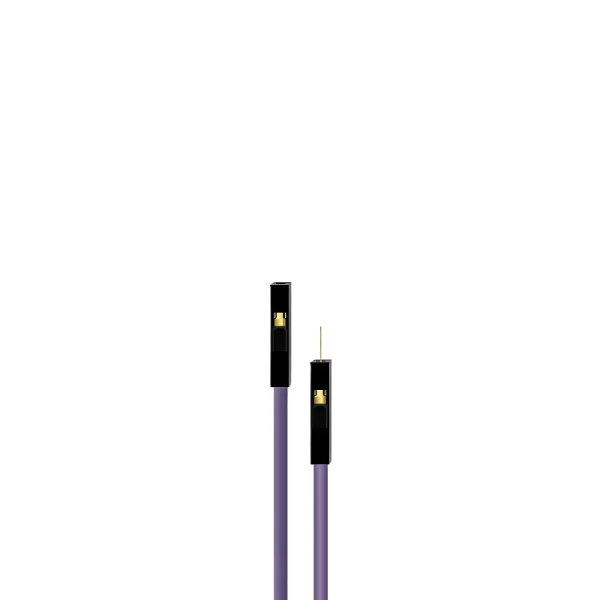 30CM Purple 10Pack F-M Silicon Jumper Wires